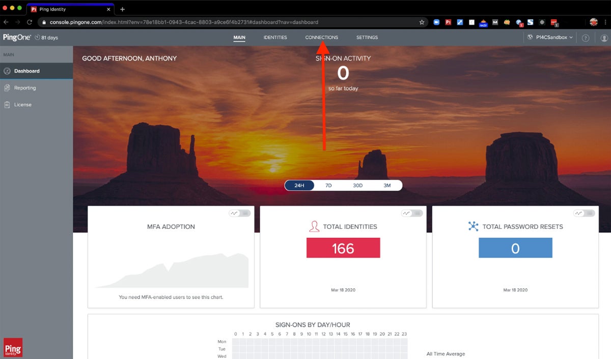 Ping Identity interface.